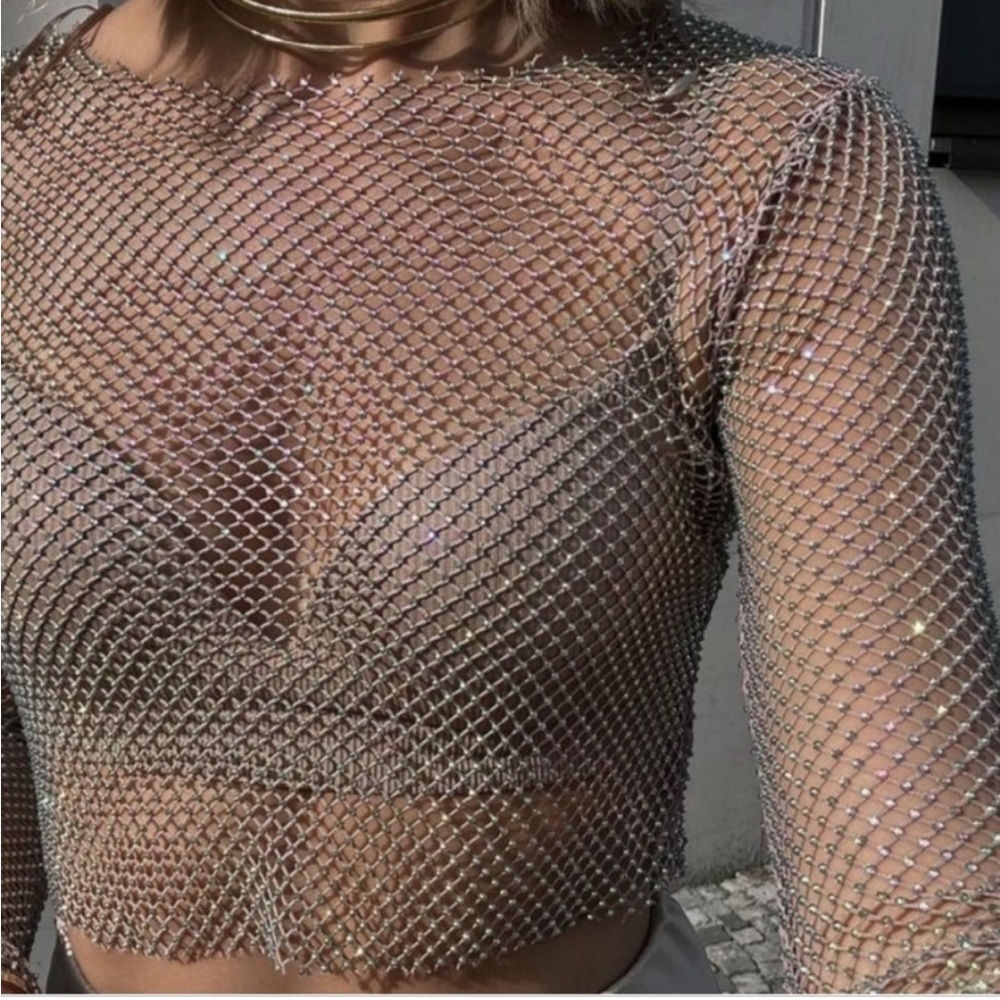 NWT - Zara - Shimmer Mesh Crop Top